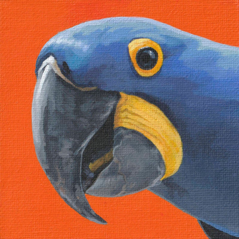 Mini Portrait Series - 005