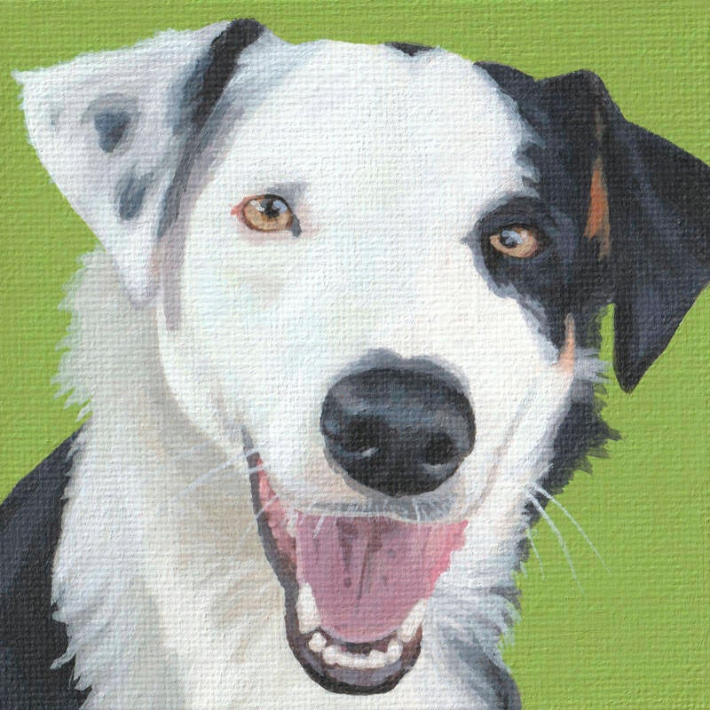 Mini Portrait Series - 006