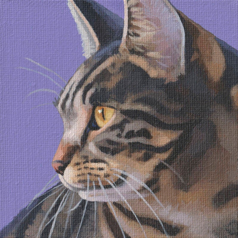 Mini Portrait Series - 008