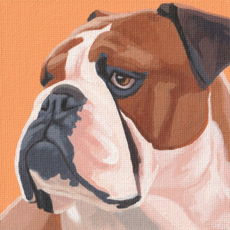 Mini Portrait Series - 010