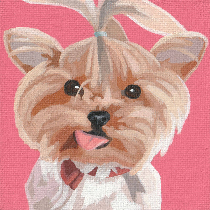 Mini Portrait Series - 011