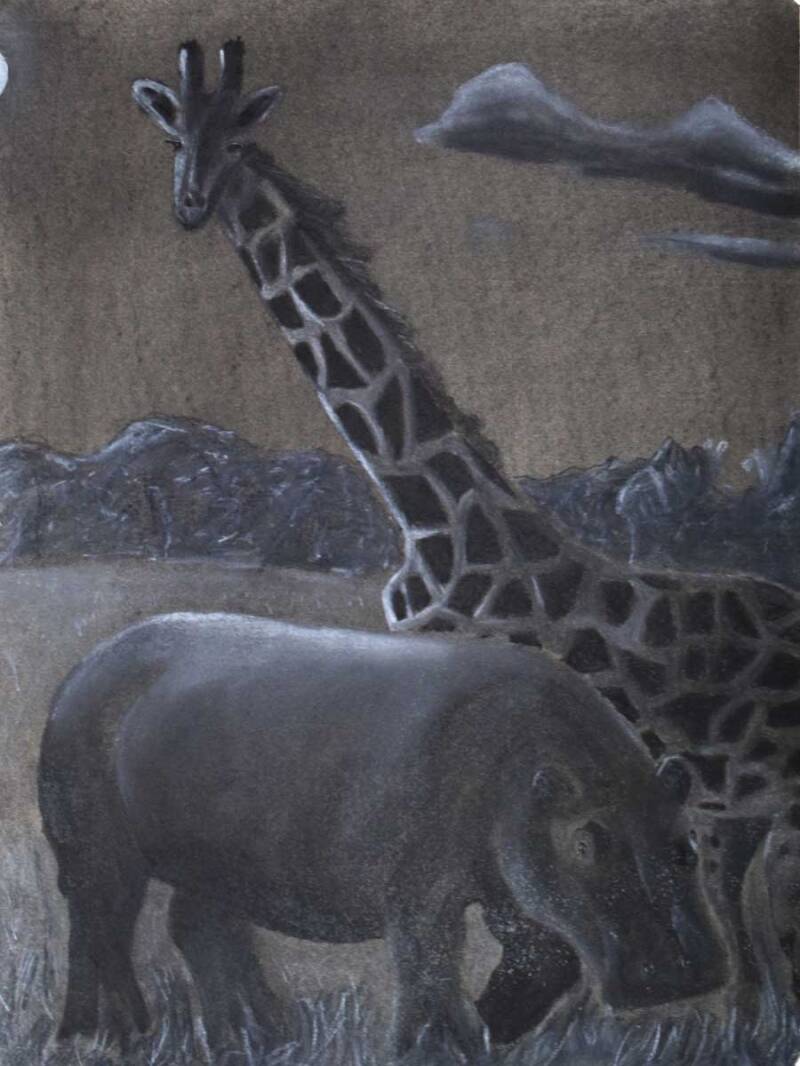 Hippo and Giraffe | Compressed charcoal and conte crayon on paper. 18x24&quot;. 2013. 