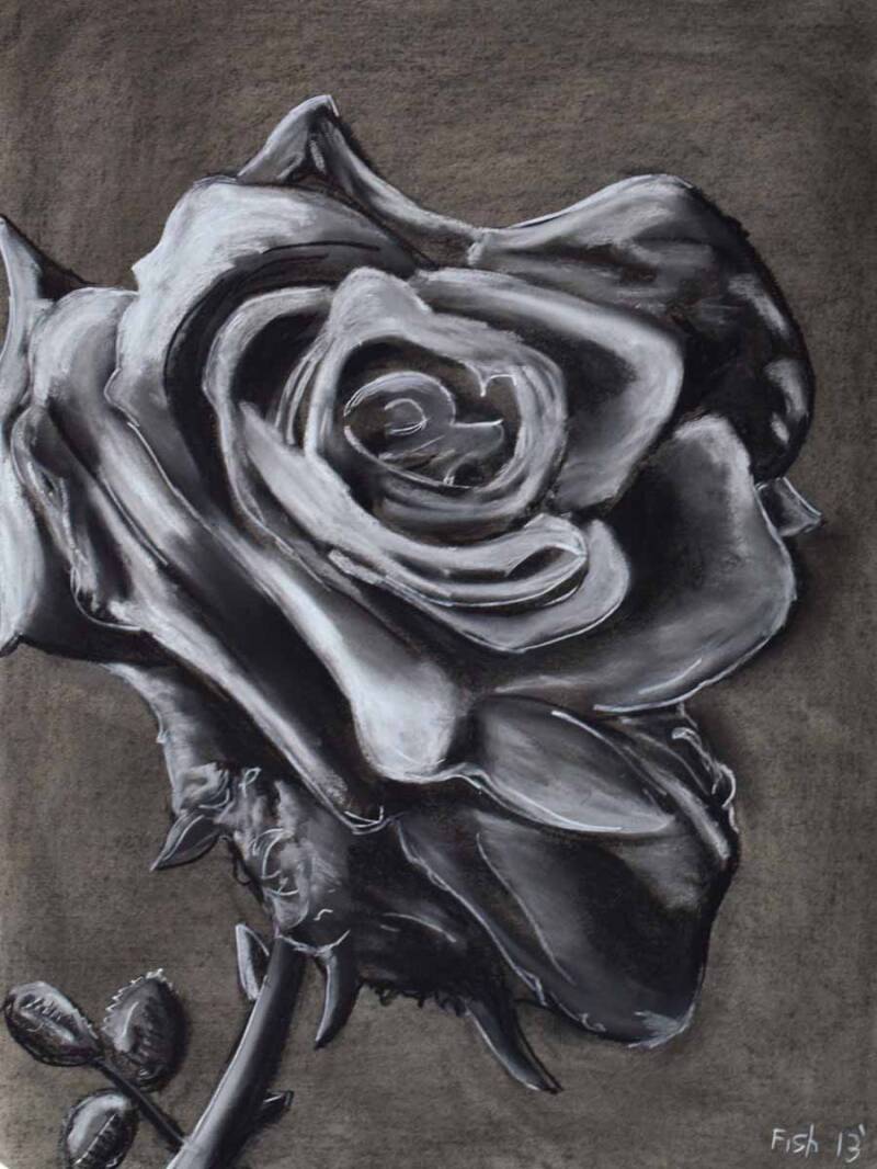 Rose | Compressed charcoal and conte crayon on paper. 18x24&quot;. 2013. 