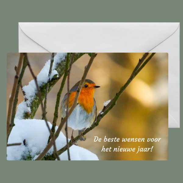 Kerstkaart 12