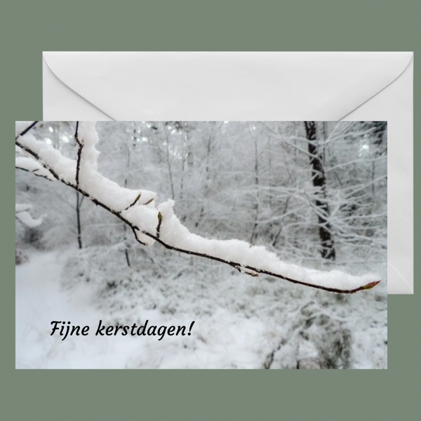 Kerstkaart Tak met sneeuw