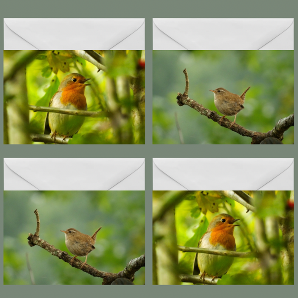 Vogels Setje