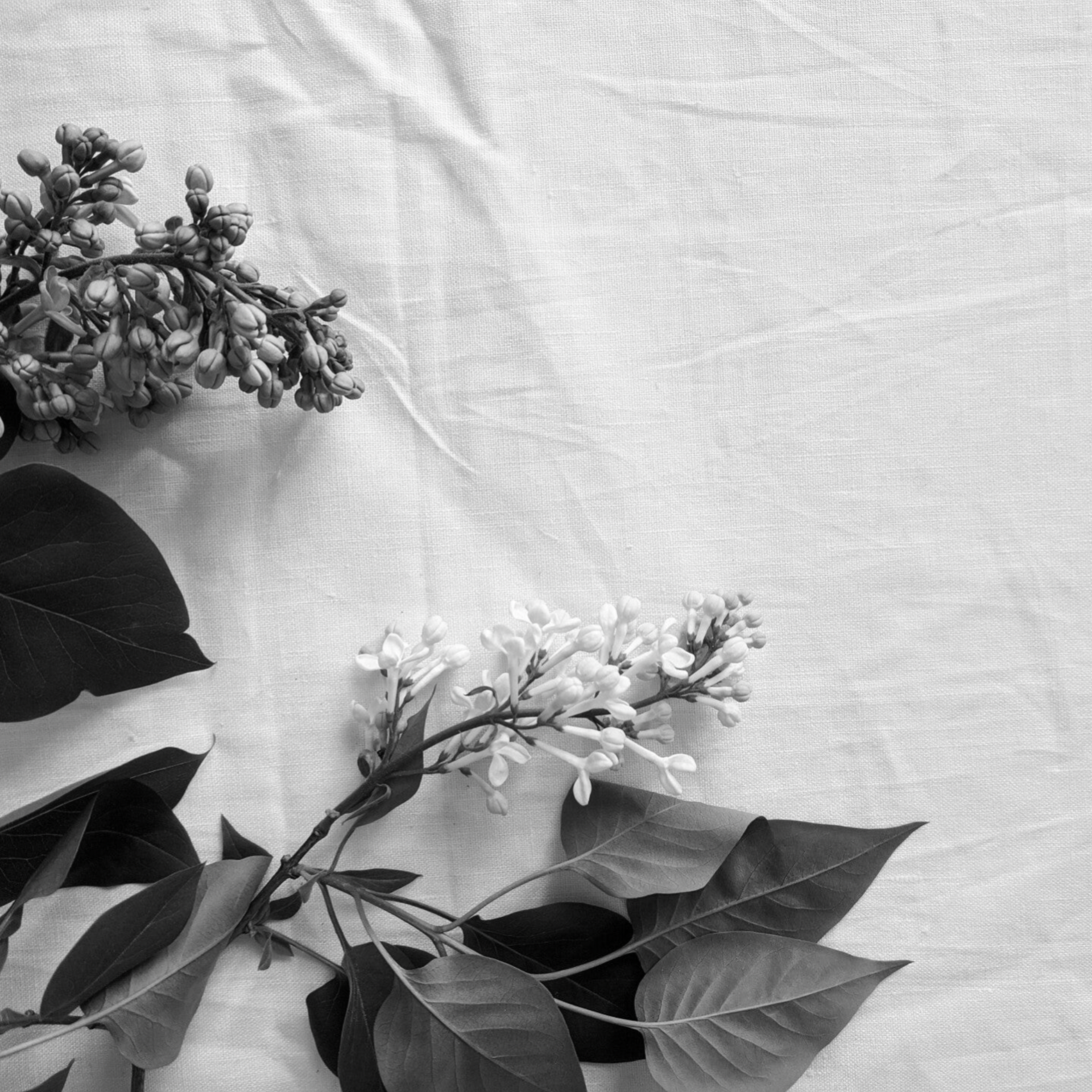 creëren van rus en balans in week van uitvaart