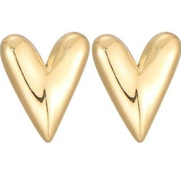 Oorbellenknopjes hart