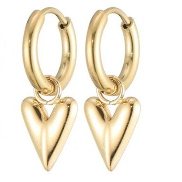 Oorbellen hart klein