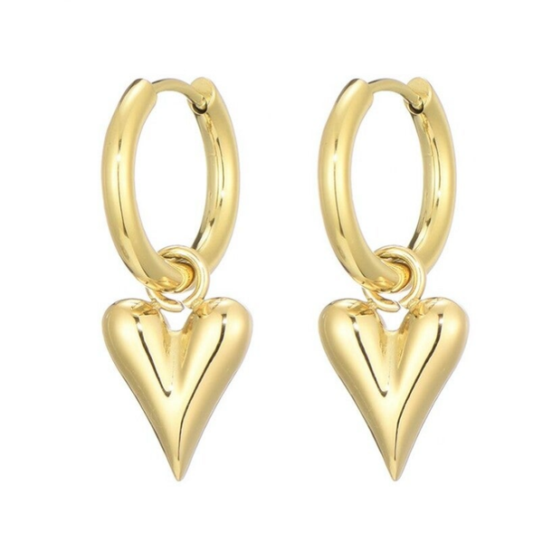 Oorbellen hart groot