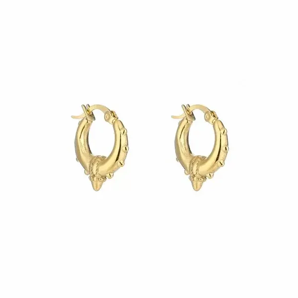 Oorbellen goud ringen