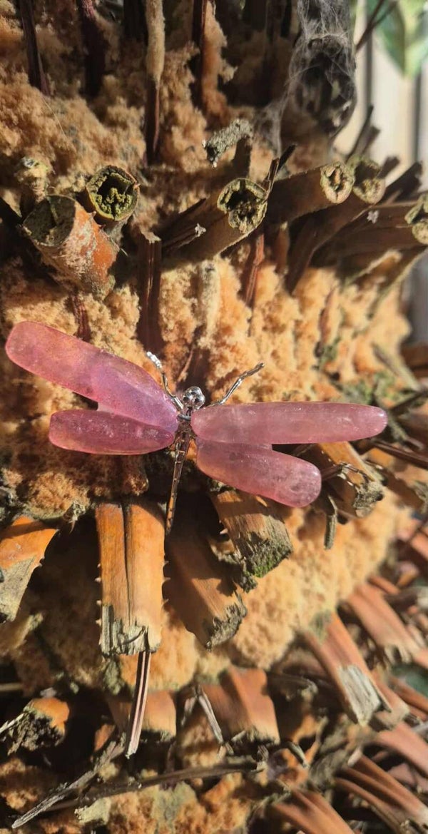 Aardbeienkwarts Libel