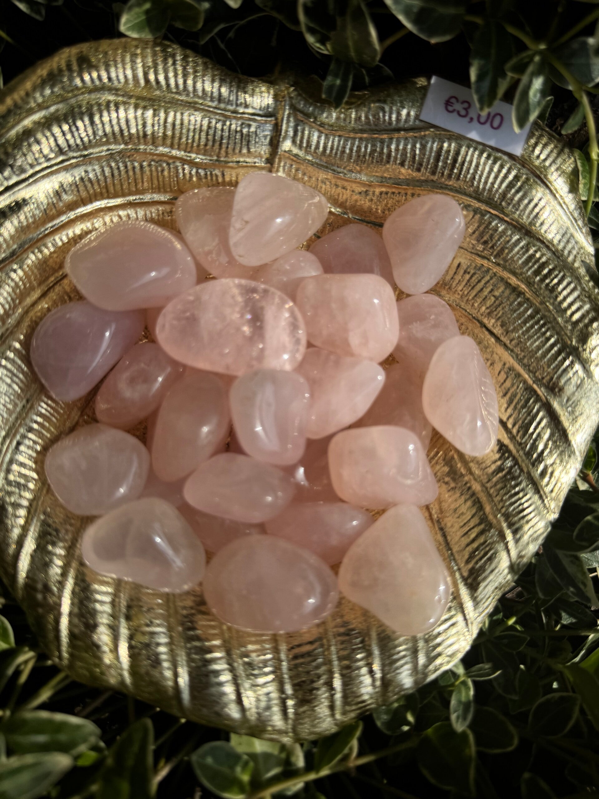 Rozenkwarts getrommeld