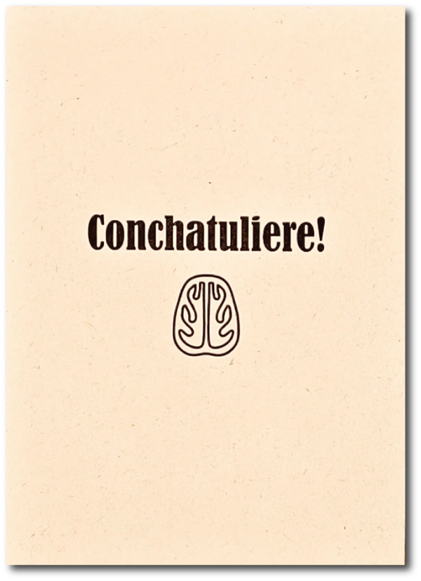 Conchatuliere