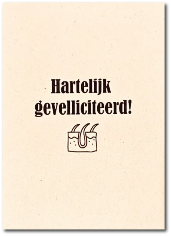 Gevelliciteerd