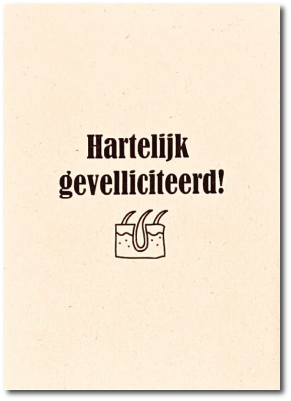 Gevelliciteerd
