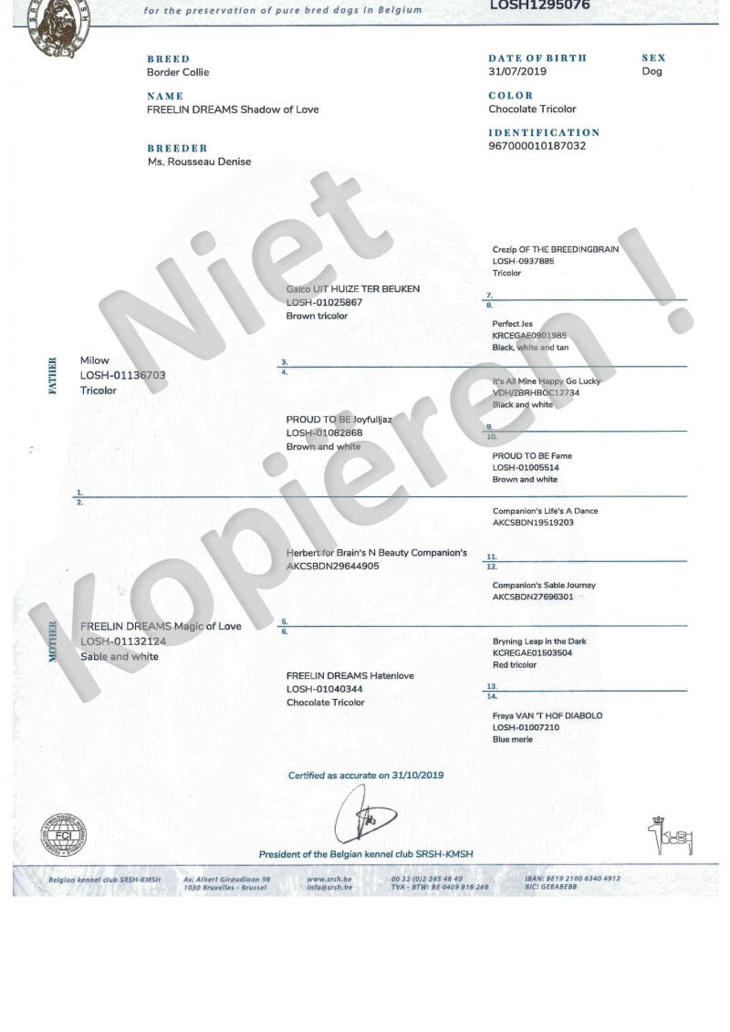 voorbeeld stamboom Freelin Dreams Vino