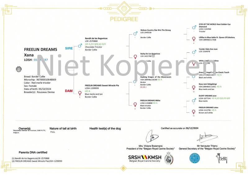 Stamboom Xana
