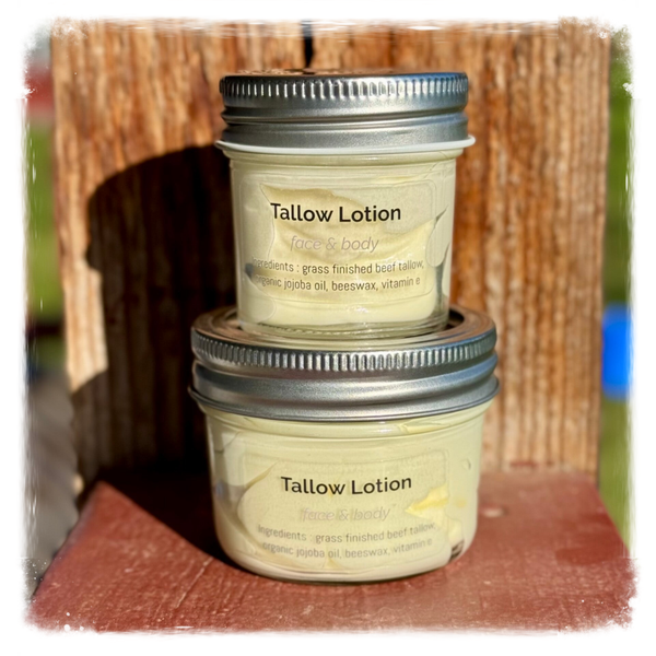 Tallow Lotion