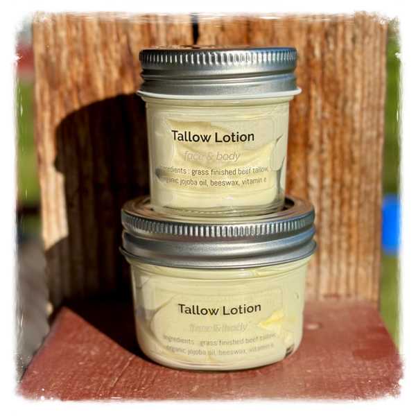 Tallow Lotion