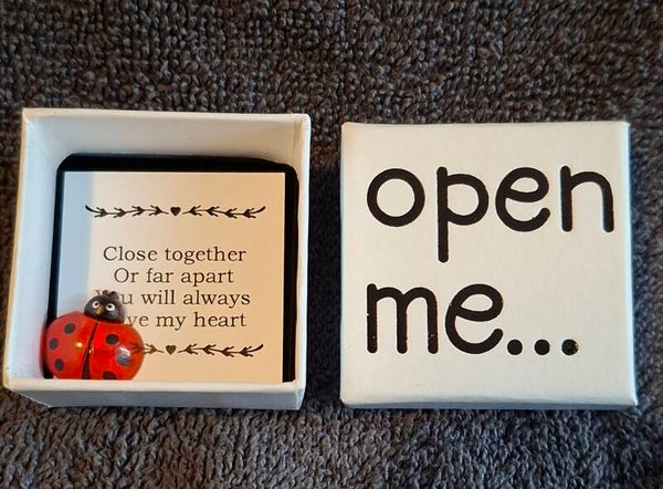 Pocket hug lieveheerst beestje open me