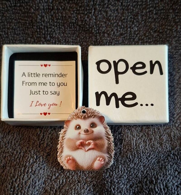 Pocket hug open me egeltje