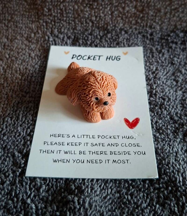 Pocket hug hondje