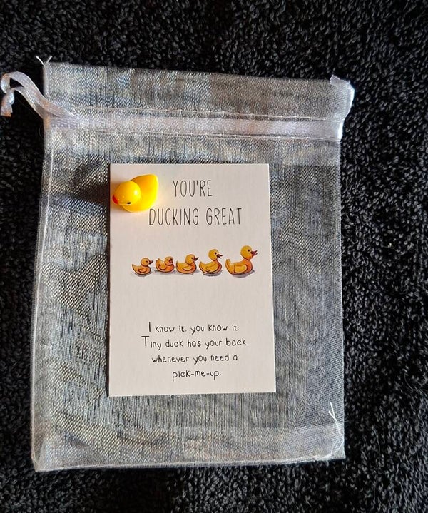 pocket hug ducking great