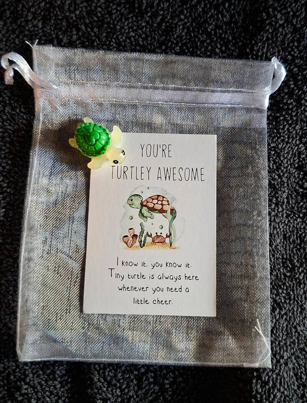 pocket hug you'r turtly awesome