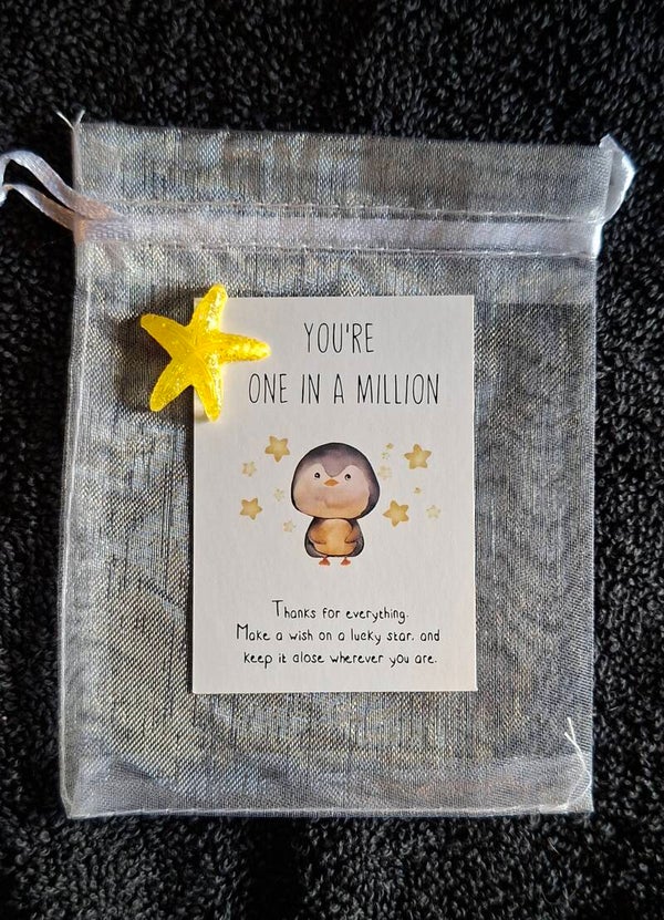 pocket hug sterretje
