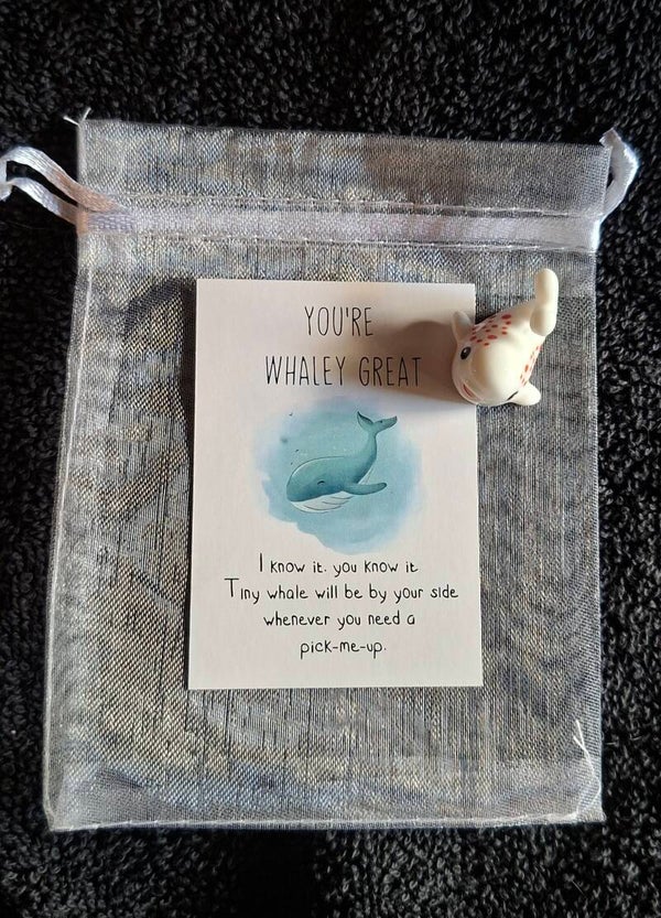 pocket hug, walvisje