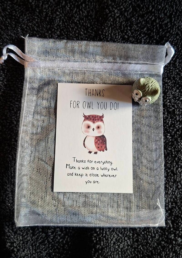 pocket hug uiltje