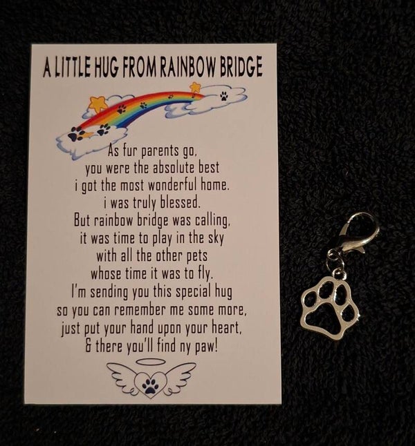 pocket hug from the rainbow bridge