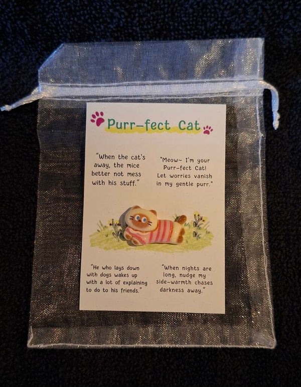 pockethug perr-fect cat gestreept truitje