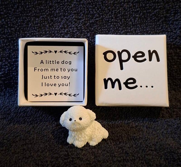 open me , lieve tekst thank you