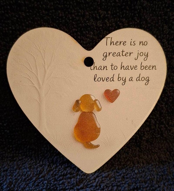 houten hart, loved by a dog