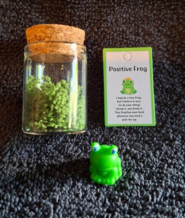 pockethug positive frog