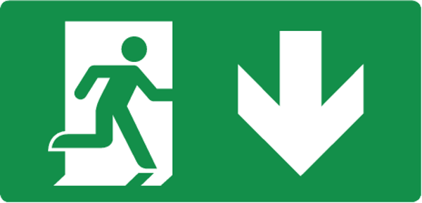 Vluchtwegbord Pijl Omlaag 200x400mm ISO7010