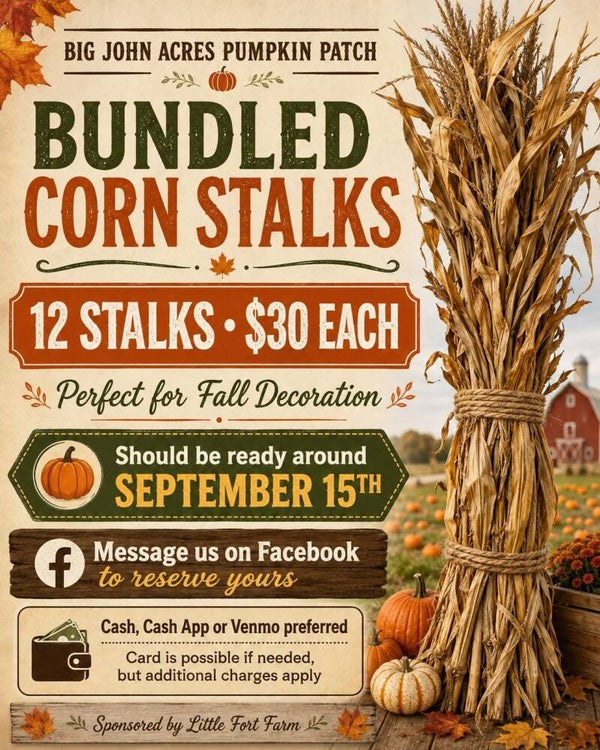Bundle of Corn Stalks ( Must Pick UP, No Shipping Available)