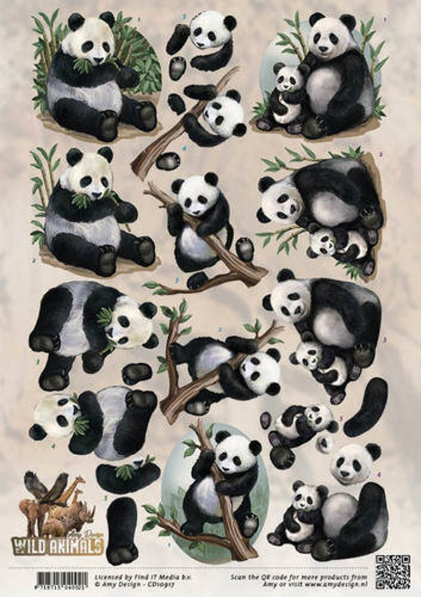 CD10917 - 3D Knipvel - Amy Design - Wild Animals - Pandas