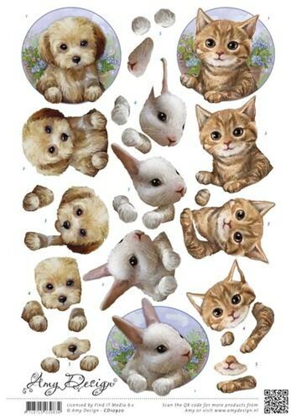 CD10920 - Amy Design - Huisdieren