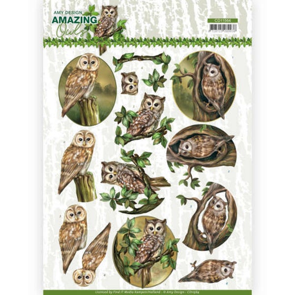 CD11564 - 3D Cutting Sheet - Amy Design - Amazing Owls - Forest Owls