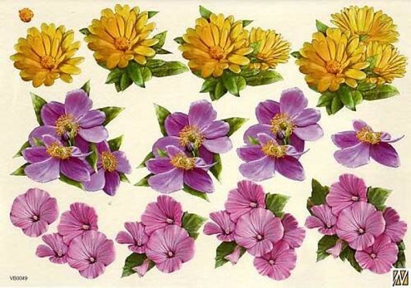 VB0049 - F&F knipvel A4 nr.49