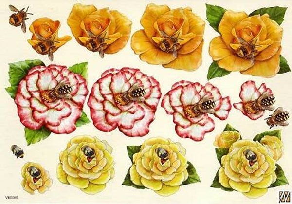 VB0050 - F&F knipvel A4 nr.50