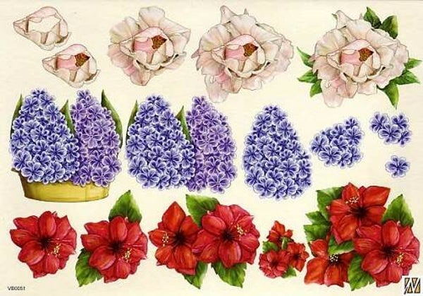 VB0051 - F&F knipvel A4 nr.51