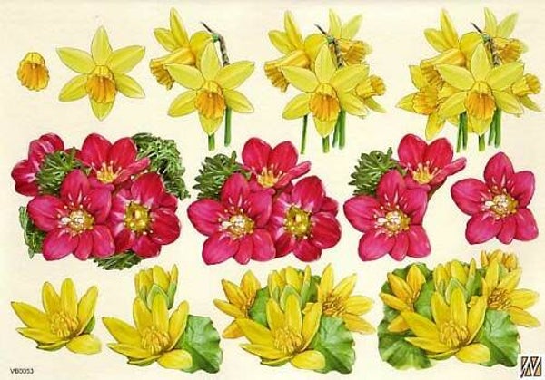 VB0053 - F&F knipvel A4 nr.53