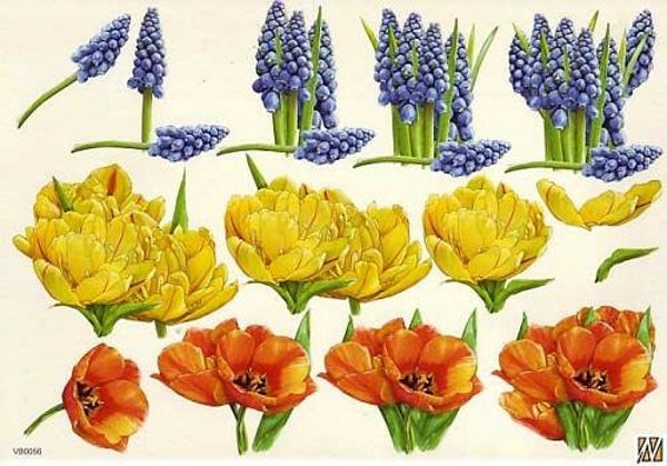 VB0056 - F&F knipvel A4 nr.56