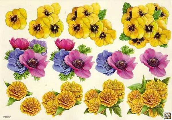 VB0057 - F&F knipvel A4 nr.57