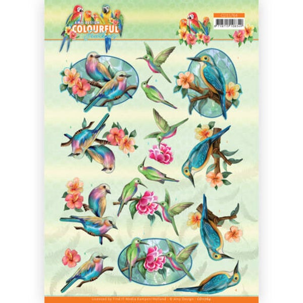 CD11764 - 3D Cutting Sheet - Amy Design - Colourful Feathers - Hummingbird