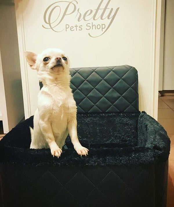 Autostoel Vierkant - Zwart